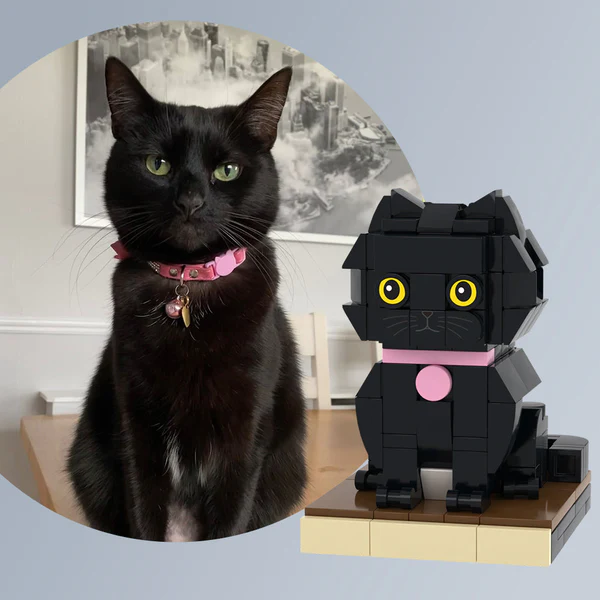 Custom Pet Brick Figure Fully Body Customizable 1 Cat Photo Brick Figures Customized Cat Only