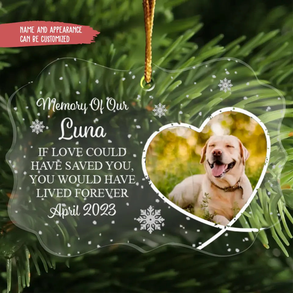 Memory Of Our … If Love Could Have Saved You, You Would Have Lived Forever