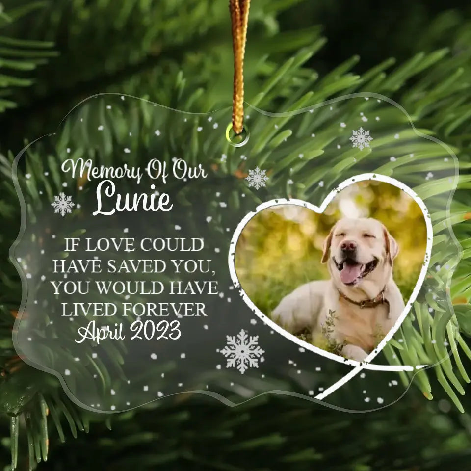 Memory Of Our … If Love Could Have Saved You, You Would Have Lived Forever