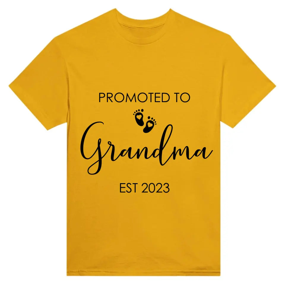 Acrylic glass - Promoted To Grandma