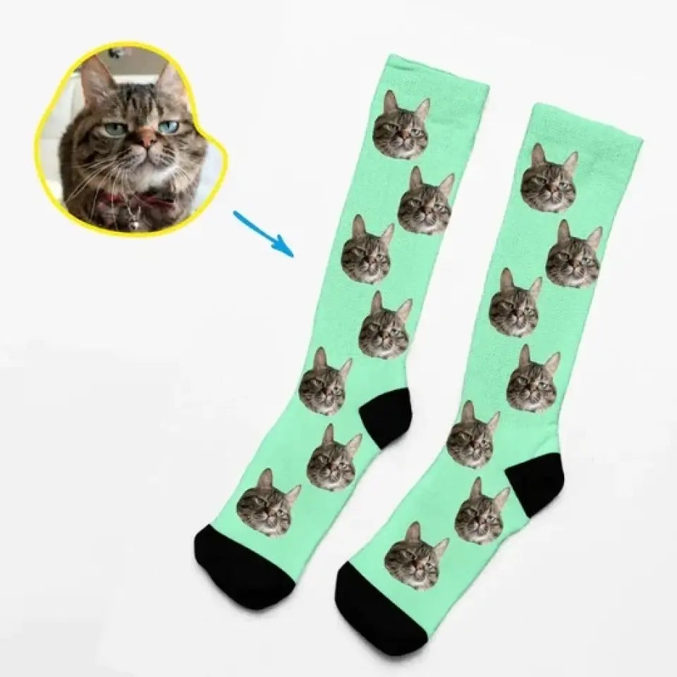 Socks With Beloved Pet