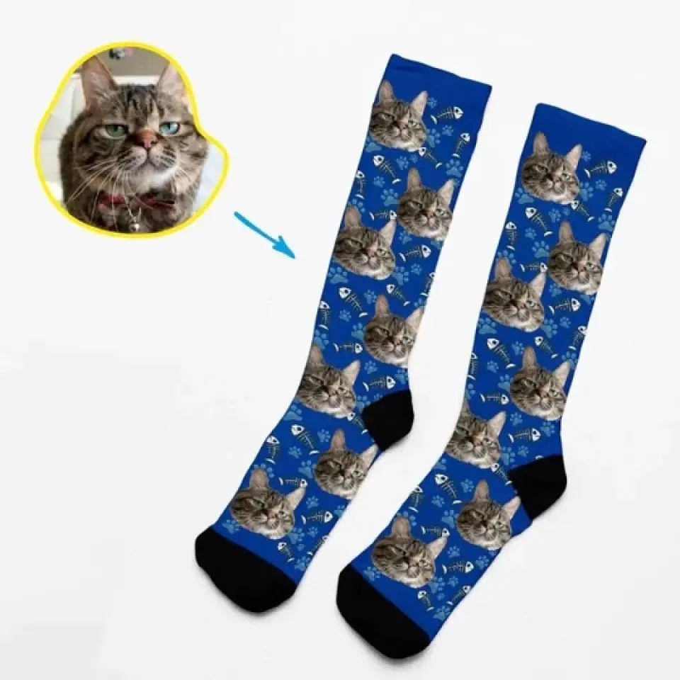 Feline Elegance - Socks With Your Kitten