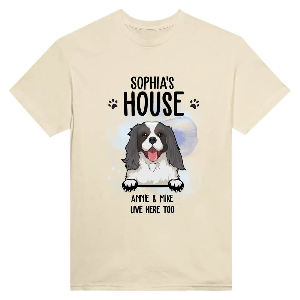 Dog House